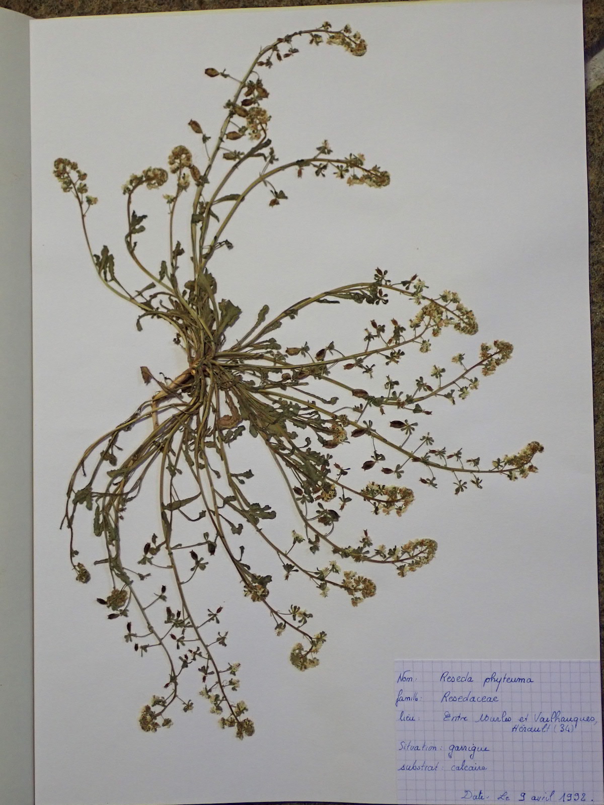 Annexe P4250279 - copie.jpg