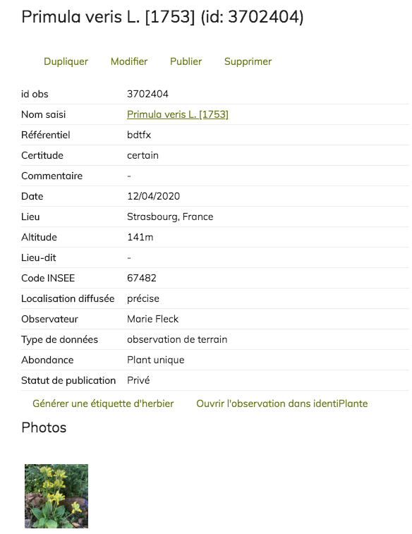 Annexe Capture d’écran 2020-04-29 à 17.48.26.png