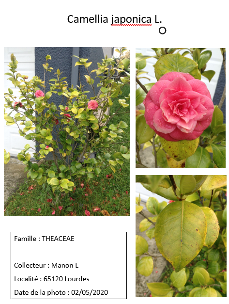 Annexe Capture d’écran (48).png