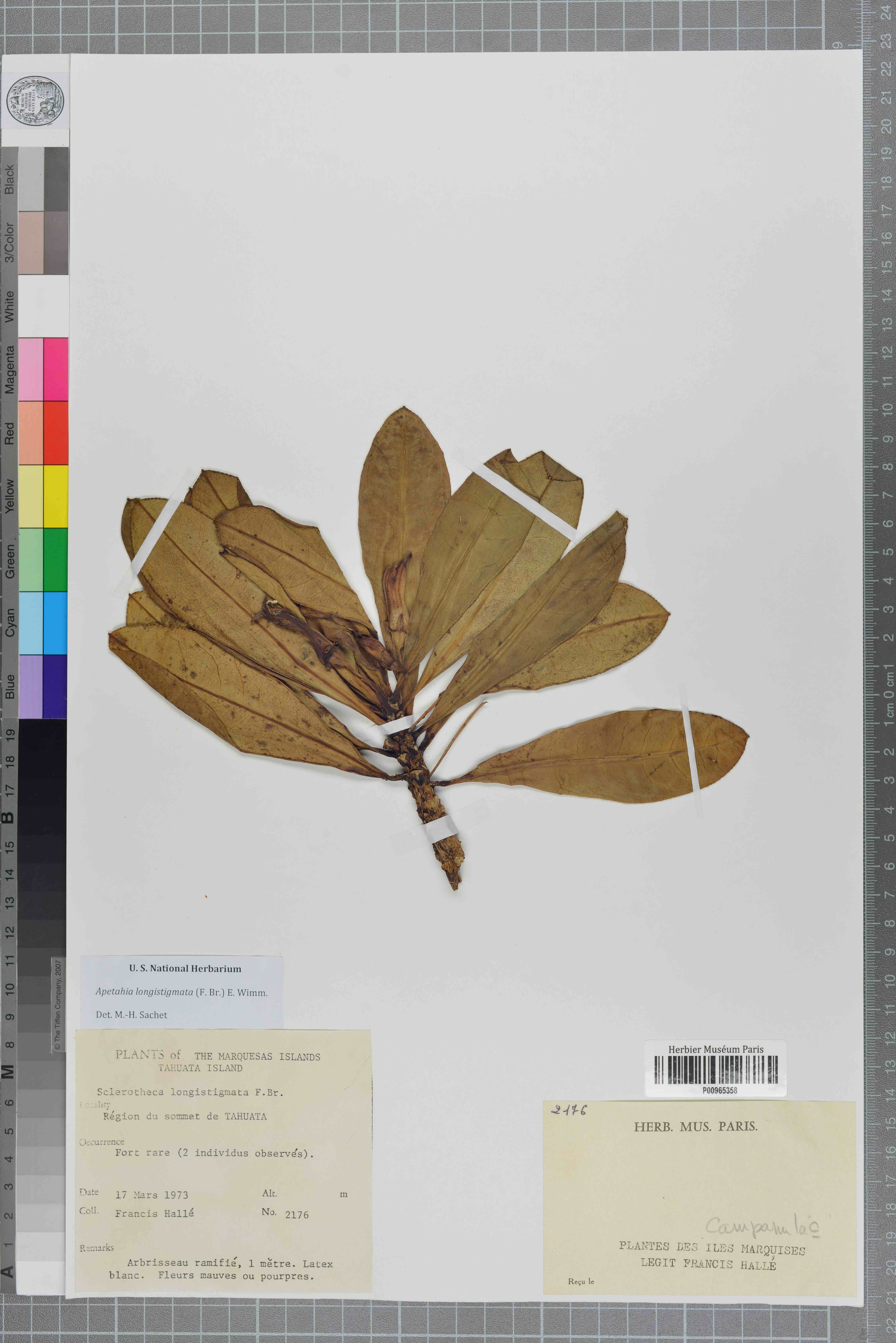 Annexe 1523970528680usQ8cxU5jX2Po8v2_réduite.jpg