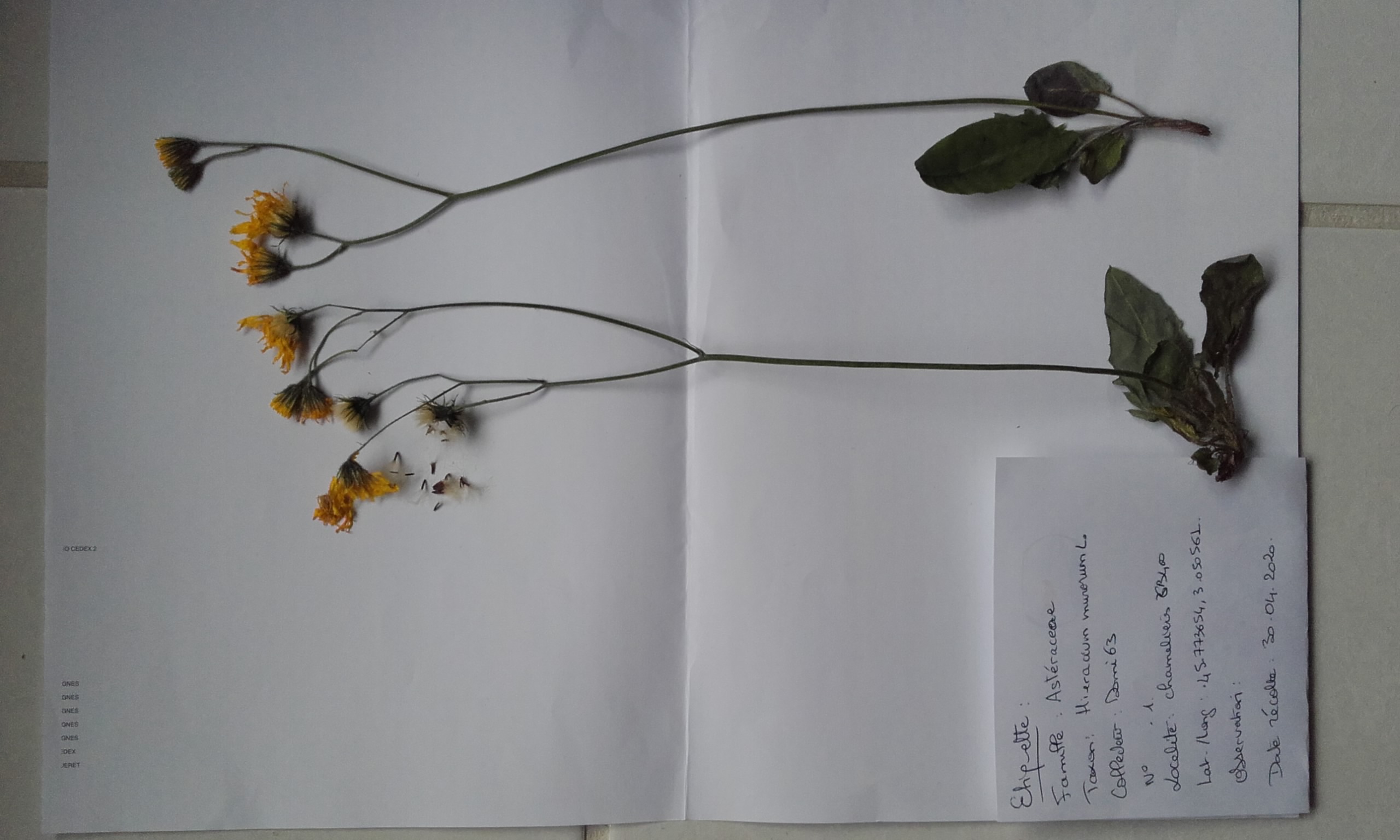 Annexe 20200502_190652.jpg