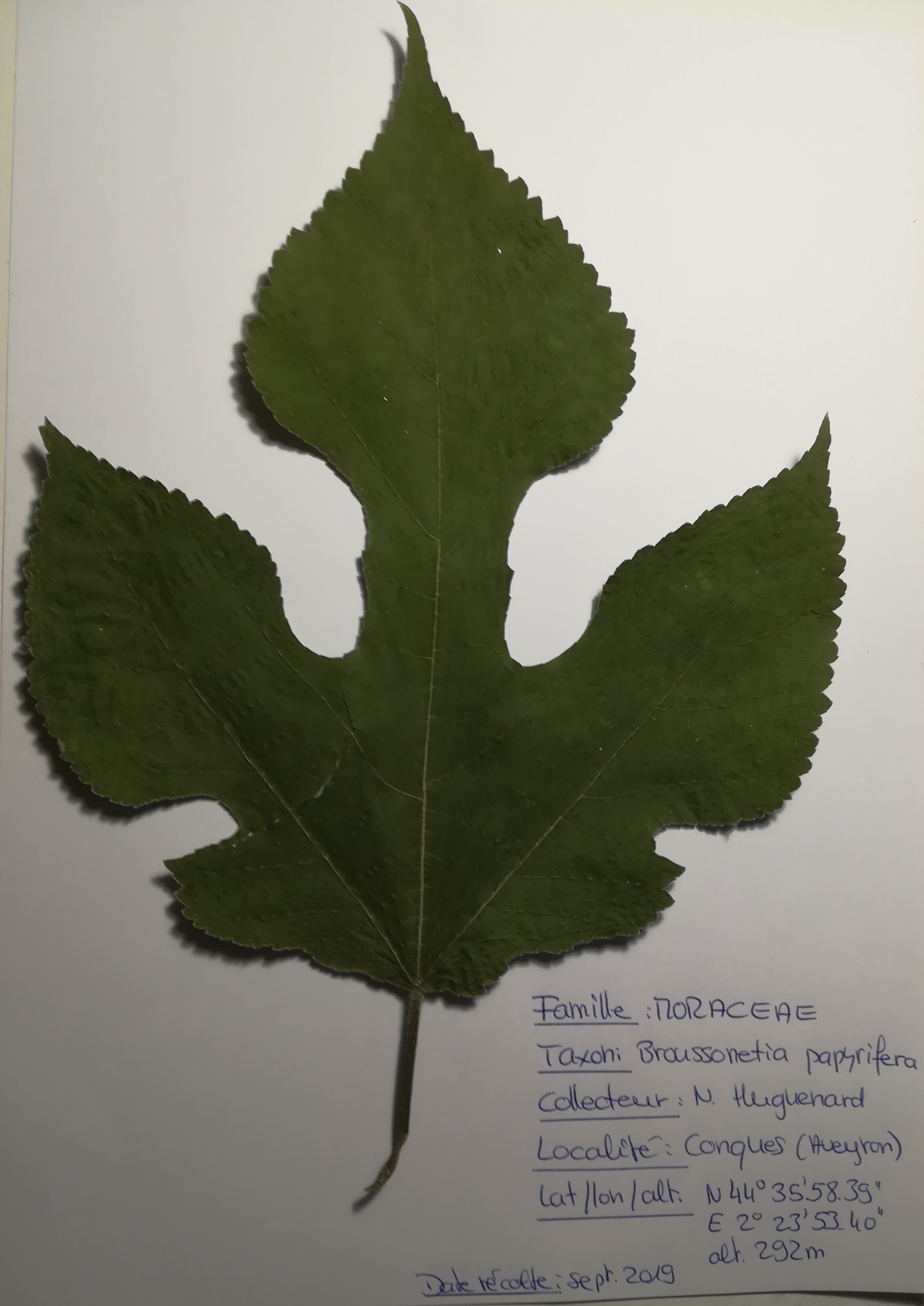 Annexe IMG_20200502_191001 (2).jpg