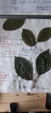 Annexe 95886167_316365942678339_56492087096377344_n.jpg