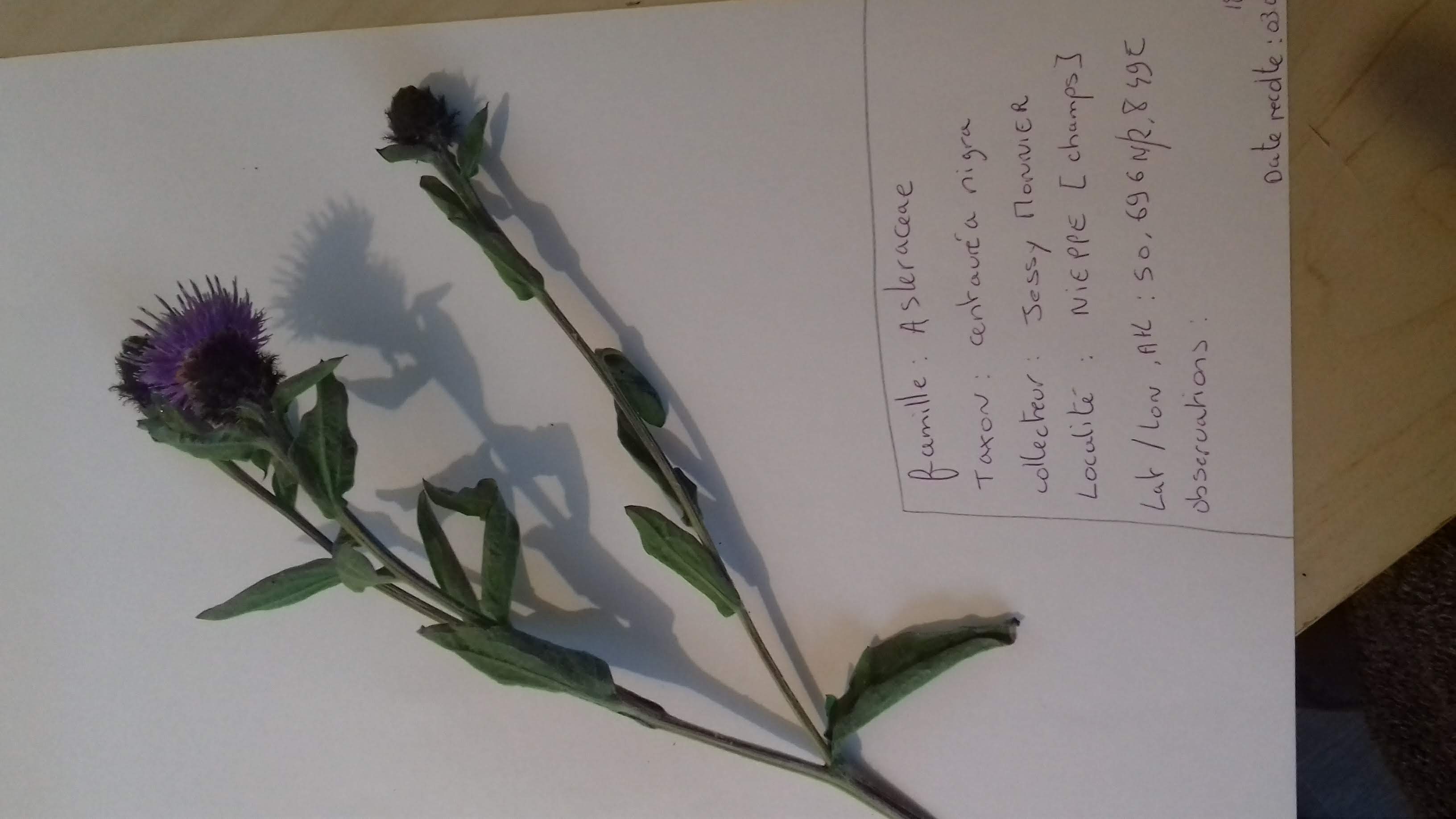 Annexe 20200503_195102.jpg