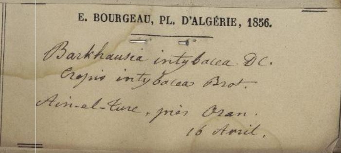 Annexe Etiquette.JPG