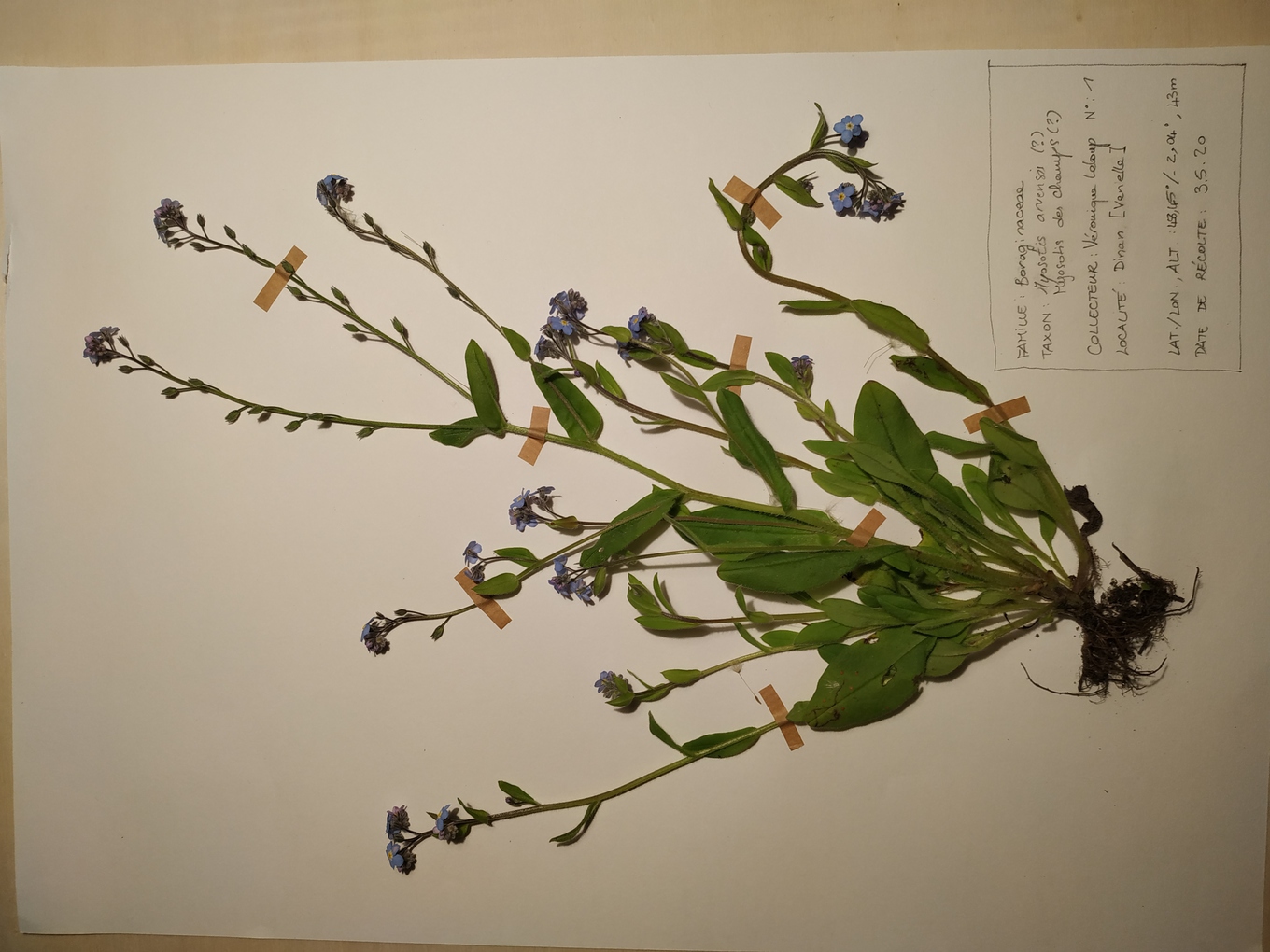 Annexe IMG_20200503_214517-ConvertImage.jpg