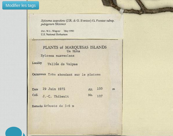 Annexe Capture d’écran de 2020-05-03 22-45-37.png