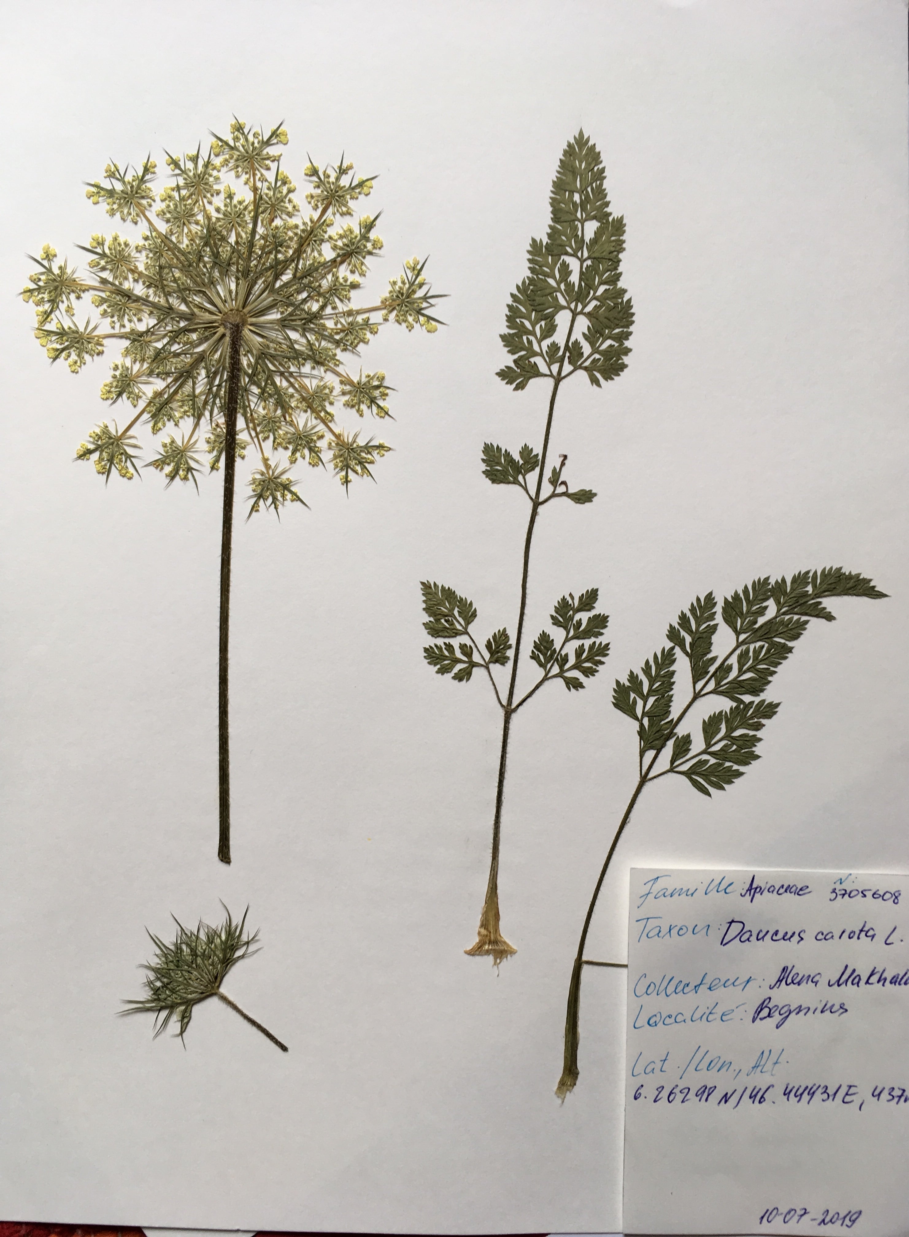 Annexe IMG_8742 2-min.jpg