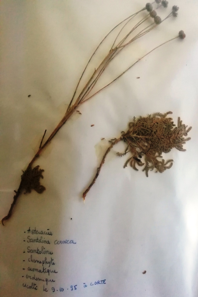 Annexe IMG_20200504_184814.jpg