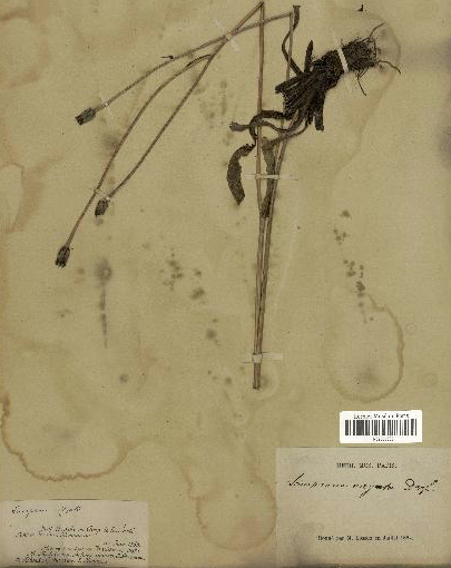 Annexe Capture d’écran 2020-05-04 à 21.34.18.png