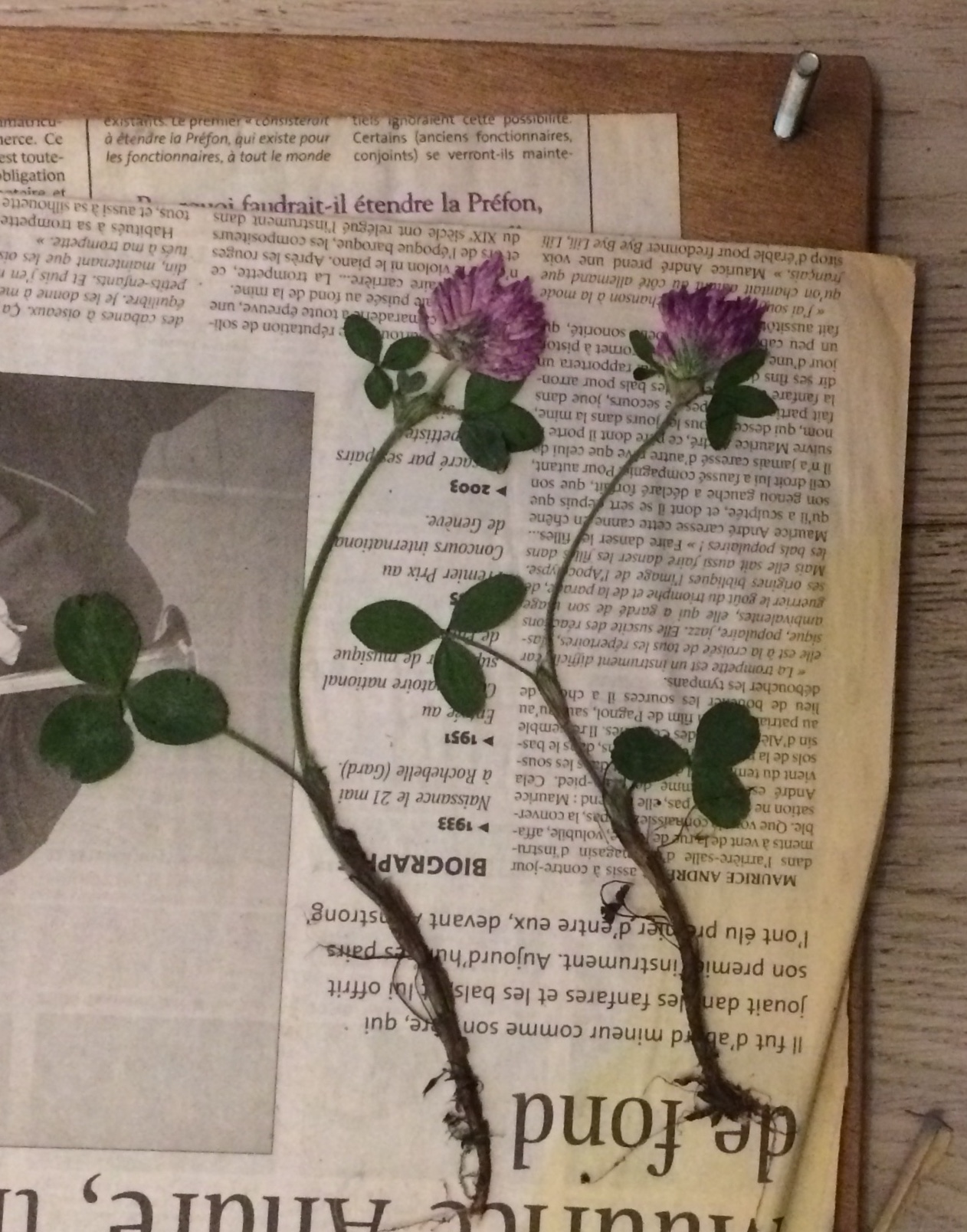 Annexe 3A58053F-2ECC-4D3B-8900-87D49C8E4673.jpeg