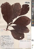 Annexe tile_0_0_0_redim.jpg