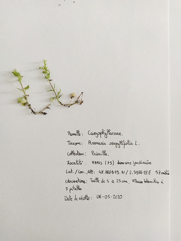 Annexe IMG_20200506_154732.jpg