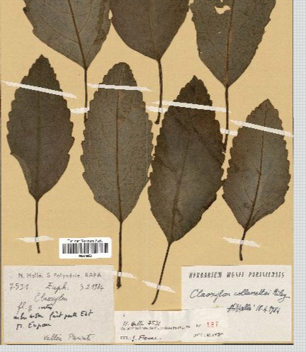 Annexe Capture d’écran 2020-05-06 à 18.57.07.png