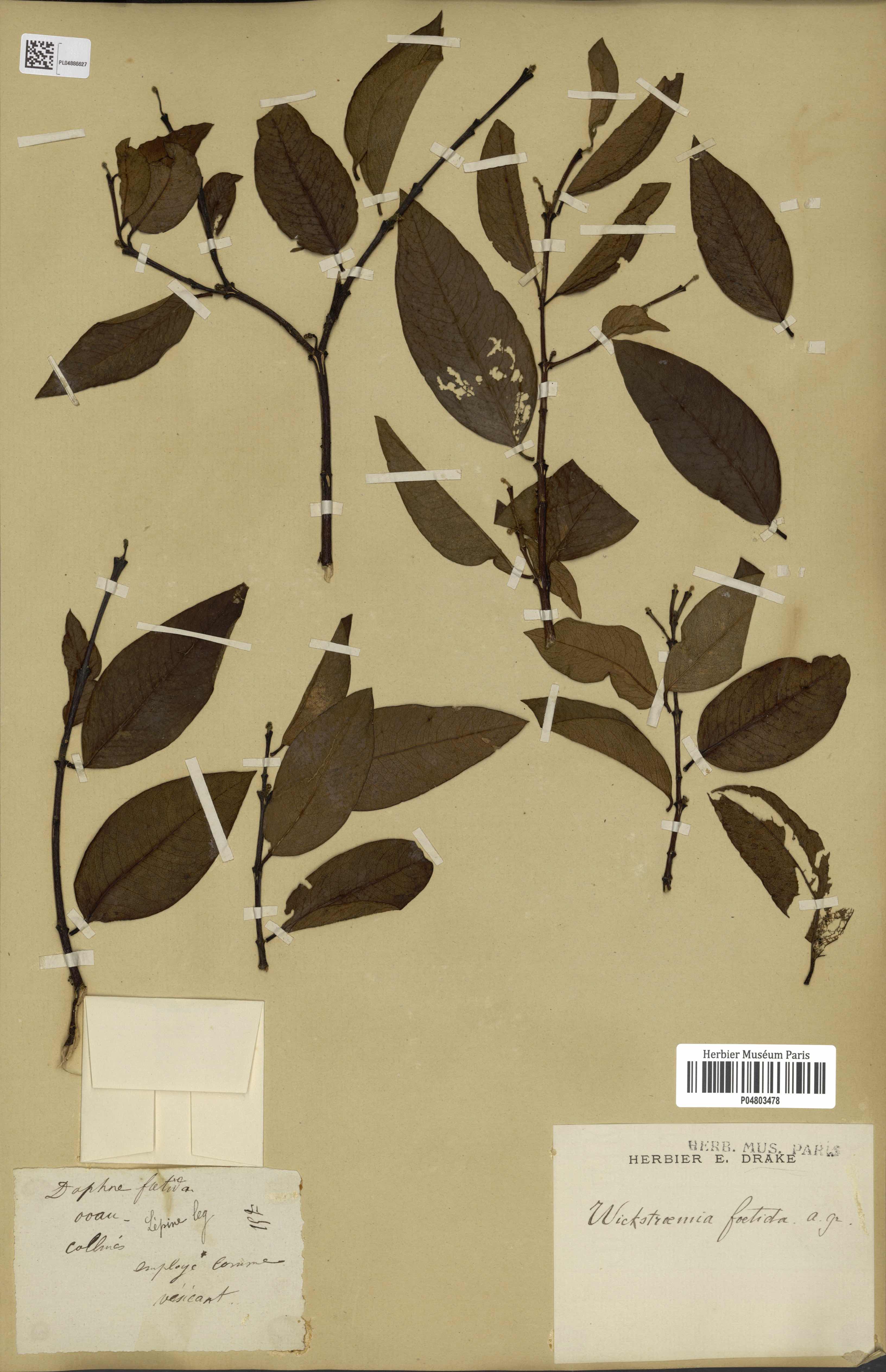 Annexe 1441434905151CvYPYsDefh6EDFZk.jpg