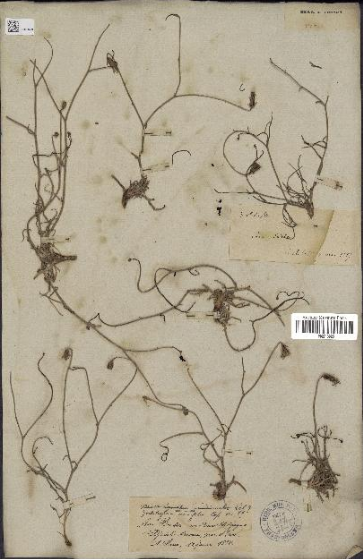 Annexe Capture d’écran 2020-05-07 à 11.39.19.png