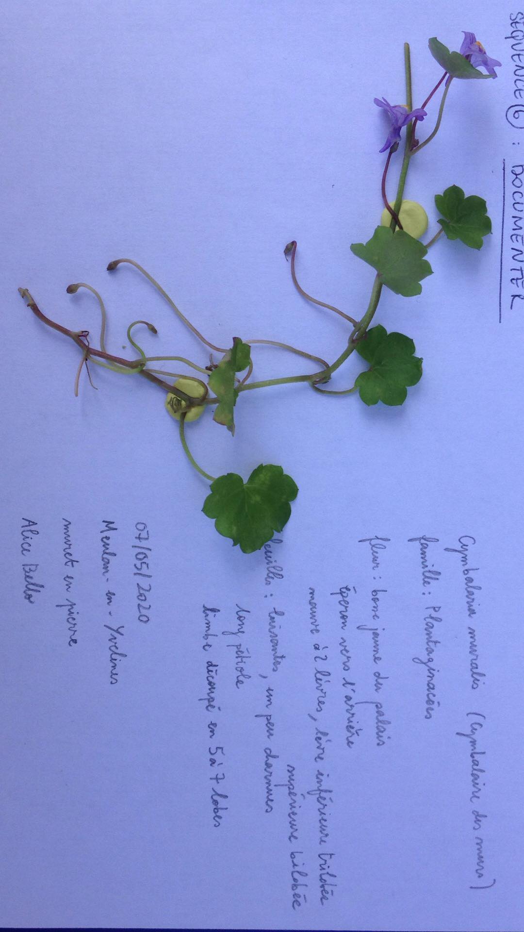 Annexe 96164795_522386985304978_7113889533640310784_n.jpg