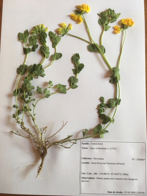 Annexe IMG_3972.jpeg