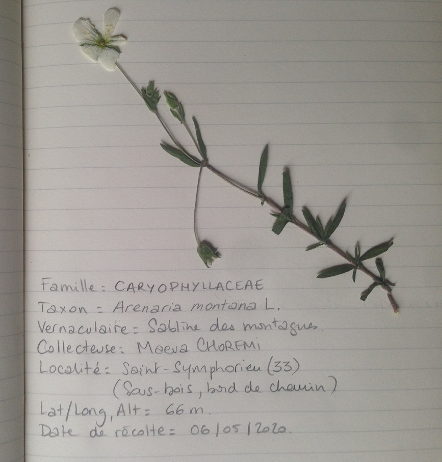 Annexe 96510473_237562980811294_1063816416571949056_n.jpg