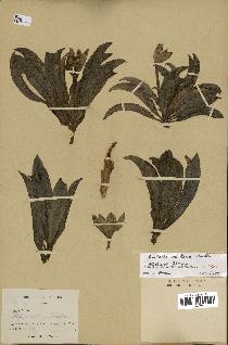 Annexe tile_0_0_0.jpg