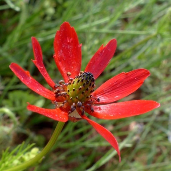 Annexe img_002324048L.jpg