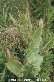 Annexe 2AAF0F93-752C-4338-A92F-54FD435009D0.jpeg