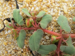 Annexe 8A99593D-A86A-4C2F-B626-C278EACC50AA.jpeg