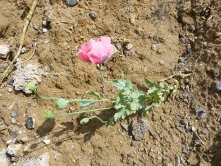 Annexe B67566B3-81B0-4039-B178-5398E5DE2A42.jpeg