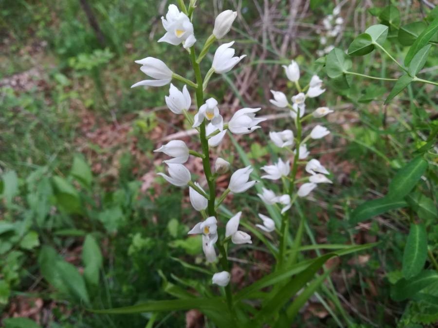 Annexe img_002389269O.jpg