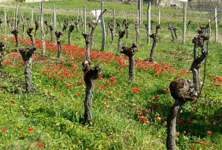 Annexe file (Small) (2).jpg