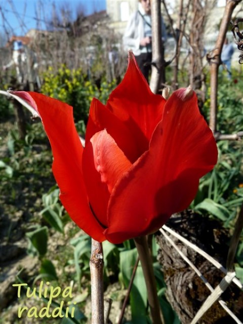 Annexe file (Small).jpg