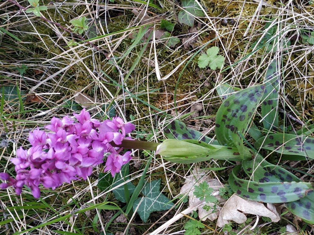 Annexe pentecote1.jpg