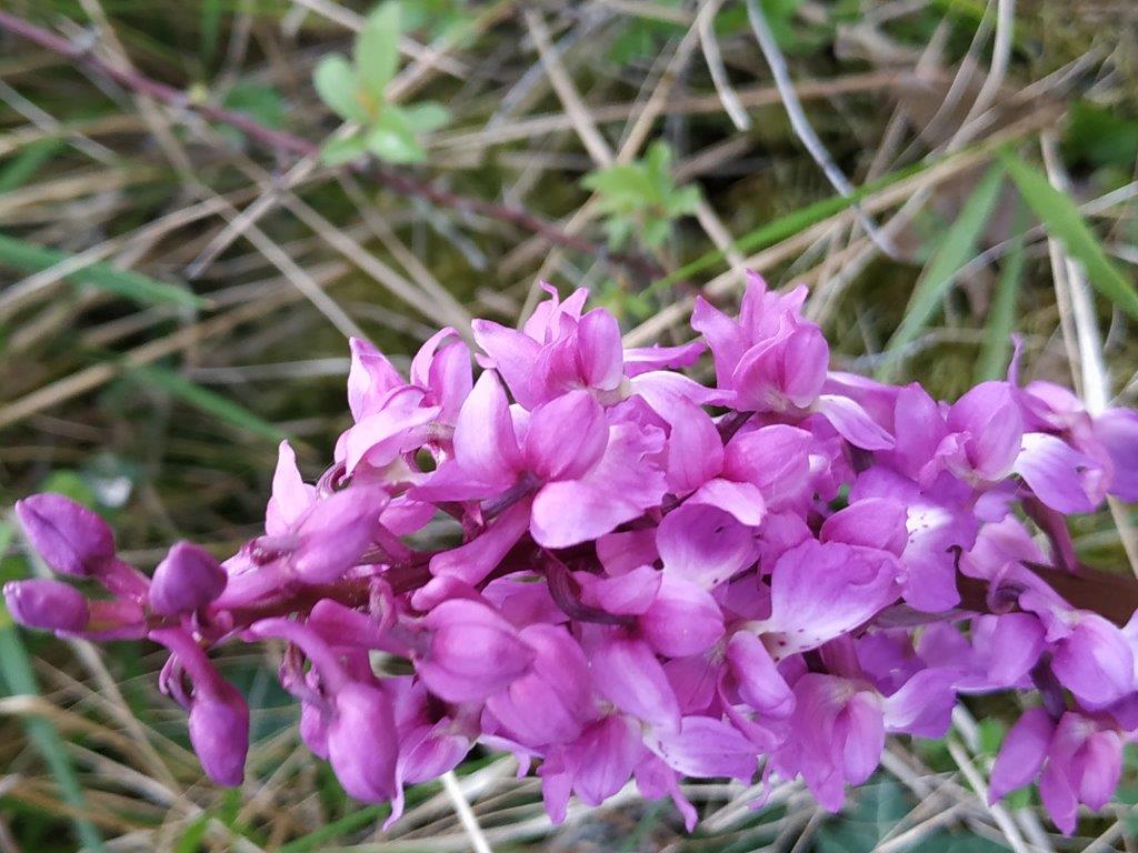 Annexe pentecote2.jpg