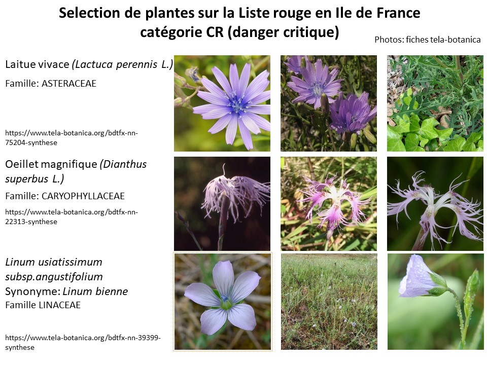 Annexe Autres CR en IDF.jpg