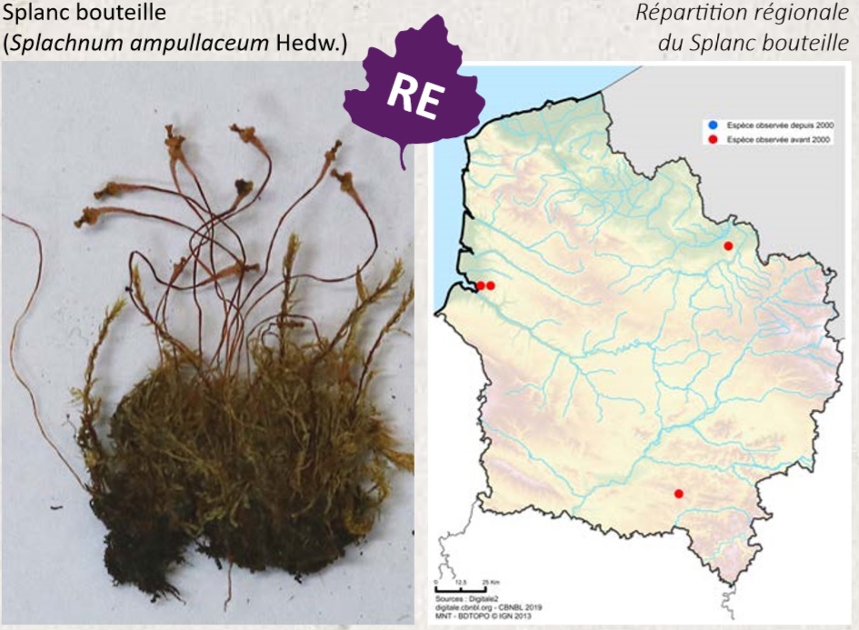 Annexe Sans titre.jpg