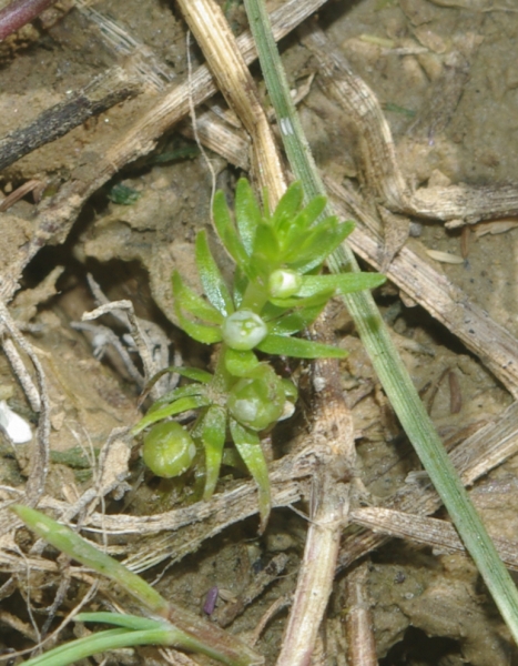 Annexe img002214602L.jpg