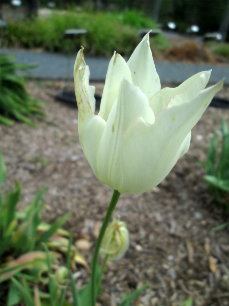 Annexe img_000119988L.jpg