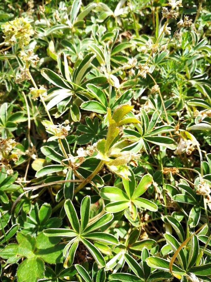 Annexe 5323a7c286fb5f38036769cf46921b1115a10808.jpg