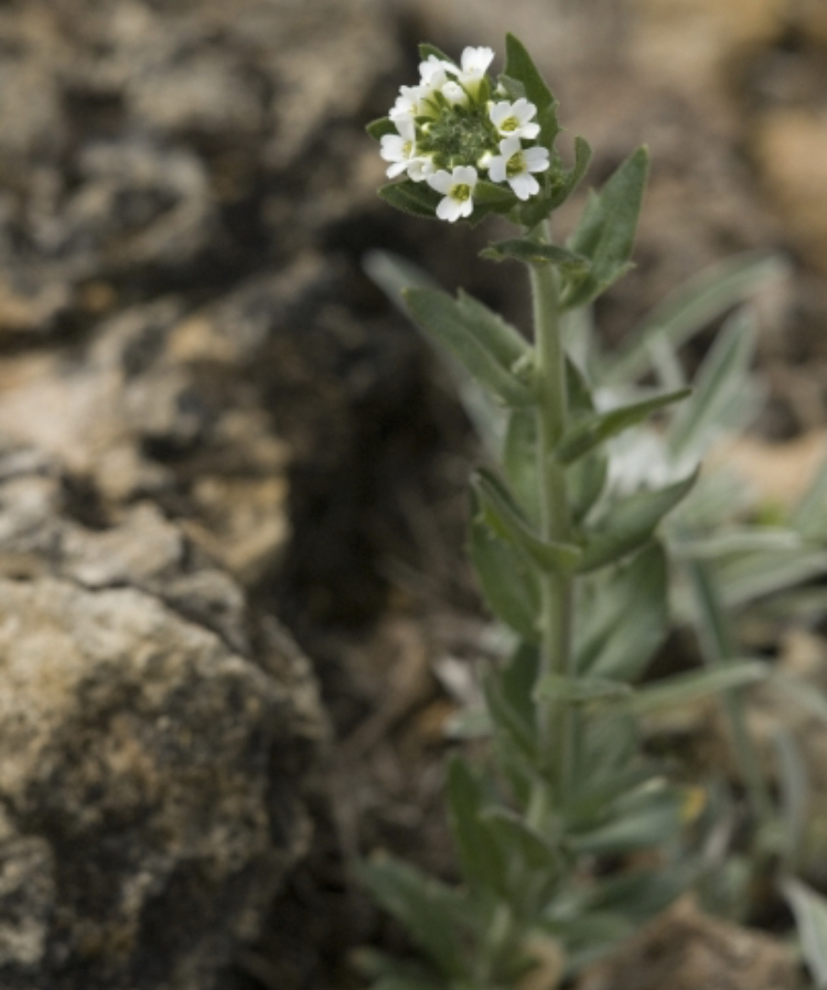 Annexe D69BB728-F44A-4E22-8C6F-A1737373F624.jpeg