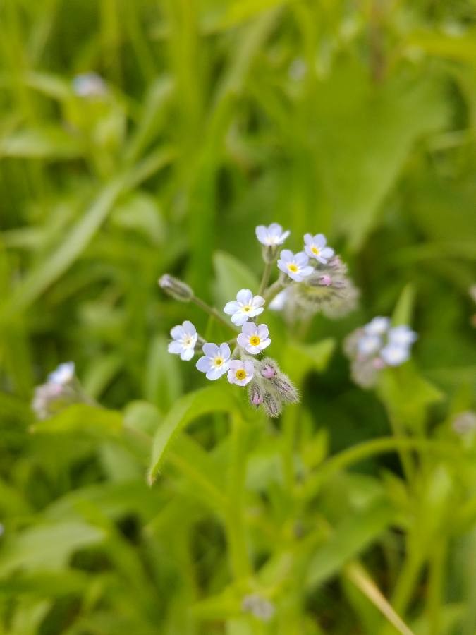 Annexe img002407340O.jpg