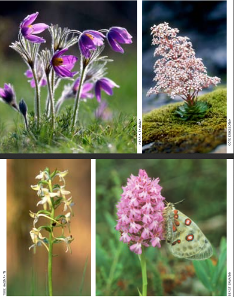 Annexe Capture décran 2020-05-02 16.40.57.png