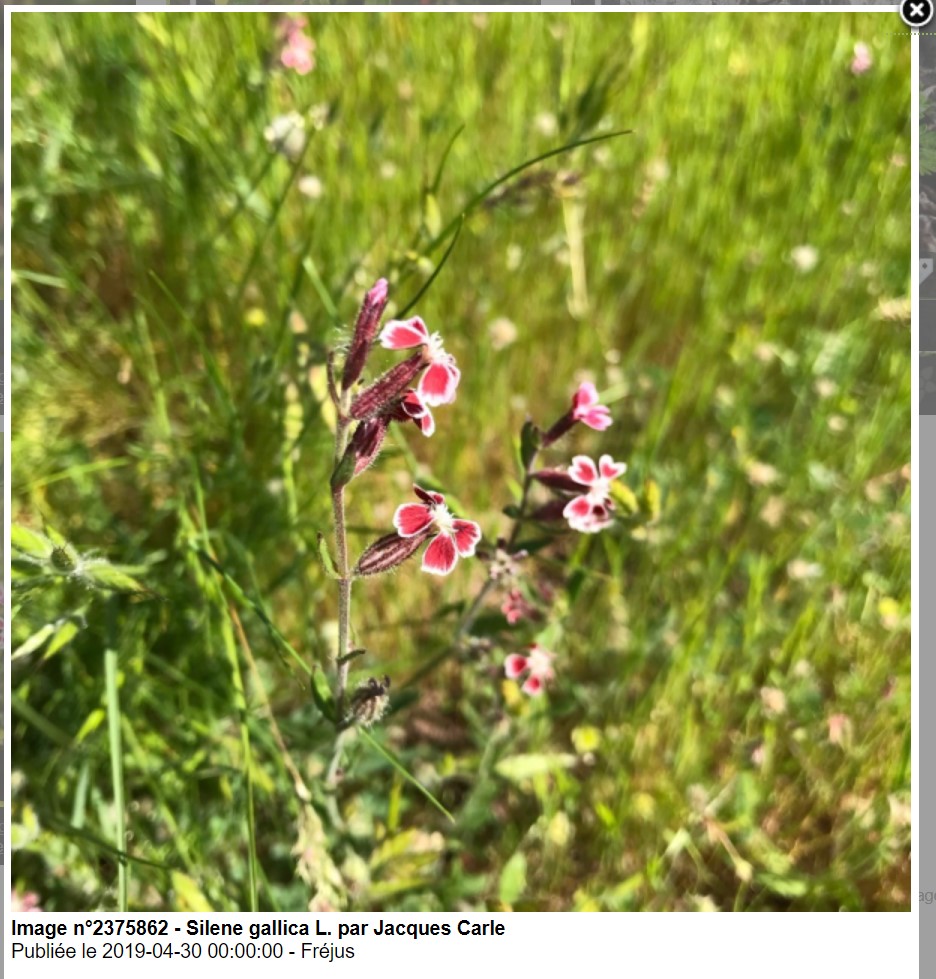 Annexe Annotation 2020-05-03 100719.jpg