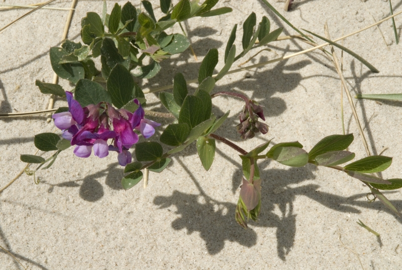 Annexe 3239d51142621513717c54af6debbc0a.jpg