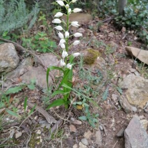 Annexe img002401765CRS.jpg