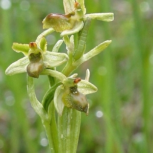 Annexe img_000174922CRS.jpg