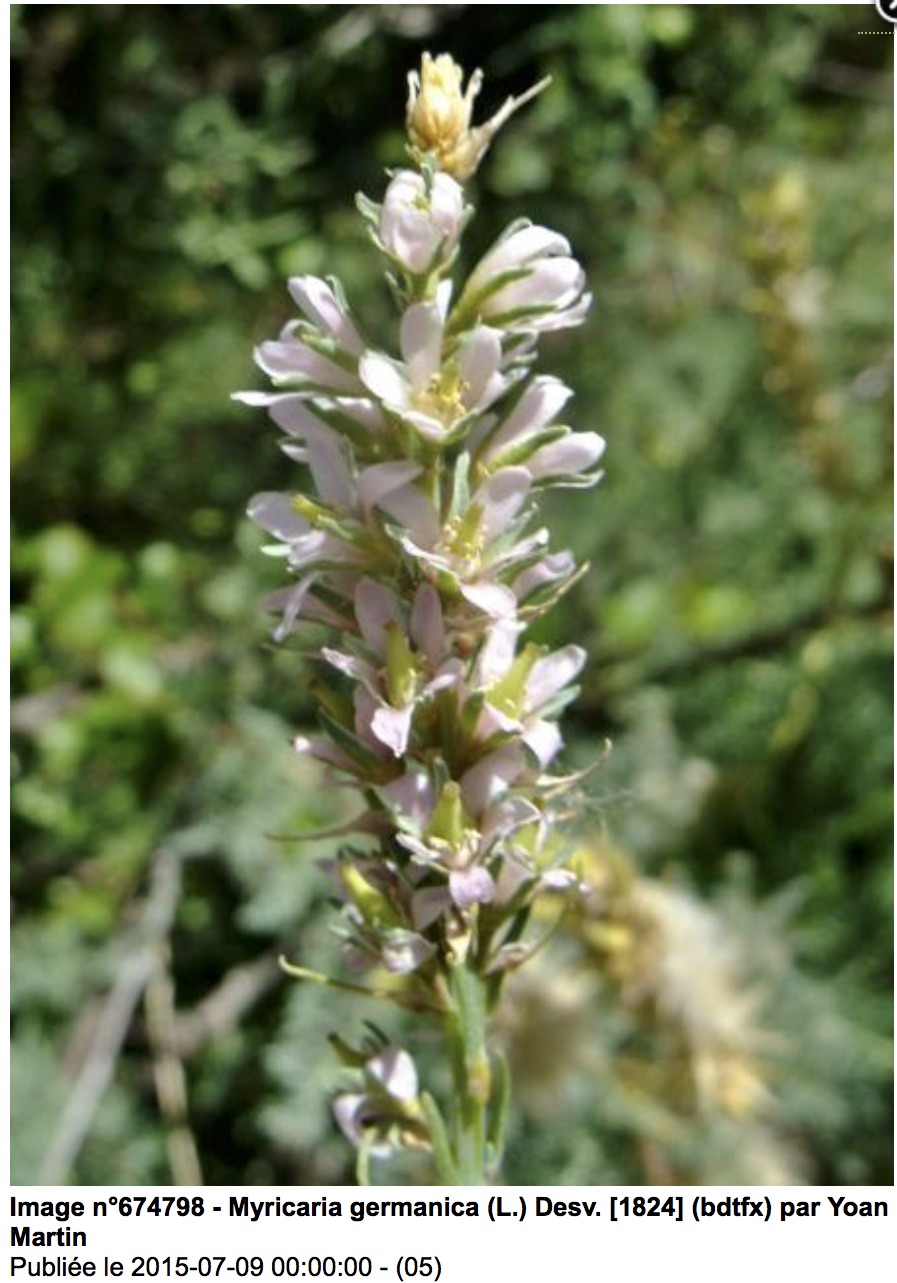 Annexe Screen Shot 2020-05-05 at 2.36.07 PM.jpg