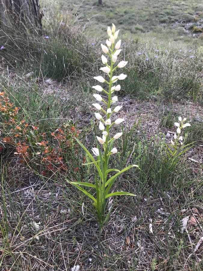 Annexe img_002412657O.jpg