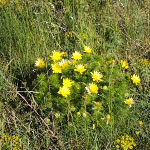 Annexe img_000045000CRS.jpg