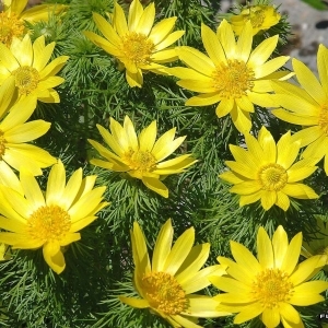 Annexe img_000169875CRS.jpg