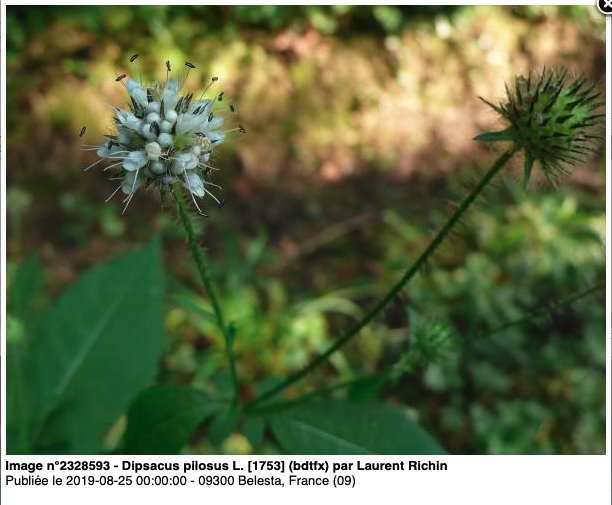Annexe Capture d’écran 2020-05-06 à 15.16.48.png
